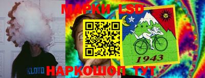 эйфоретик Будённовск
