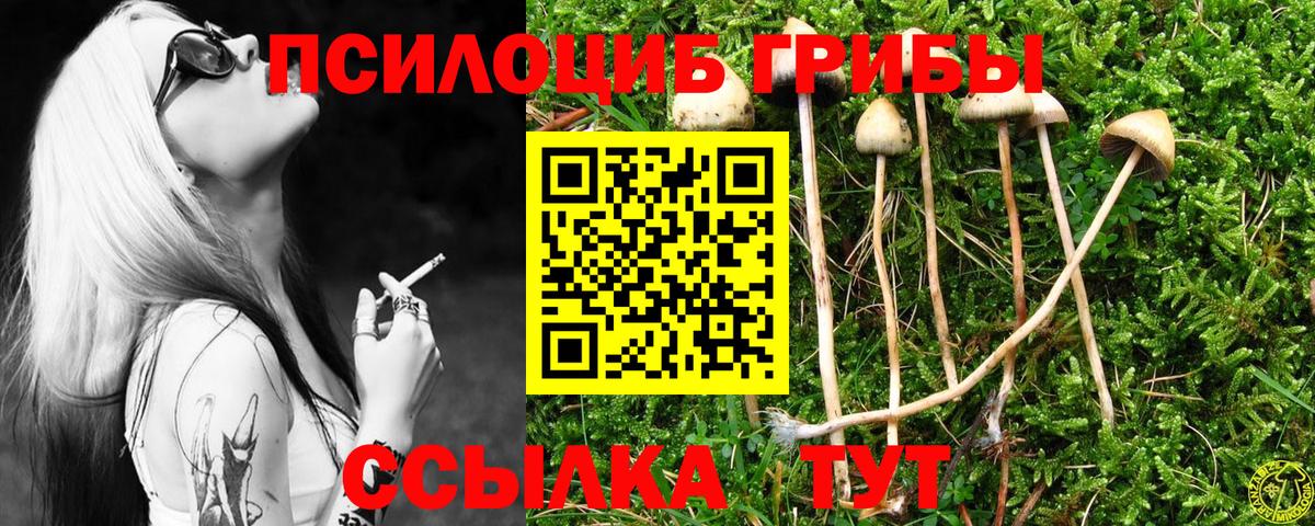 Галлюциногенные грибы ЛСД  Вход с VPN  Тулун  Галлюциногенные грибы Psilocybine cubensis 