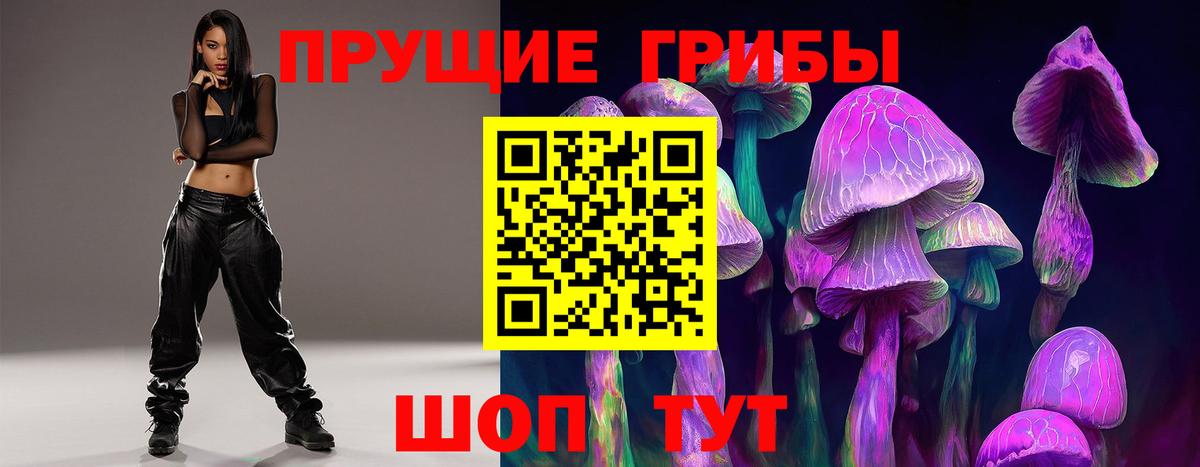 Галлюциногенные грибы Cubensis Тулун